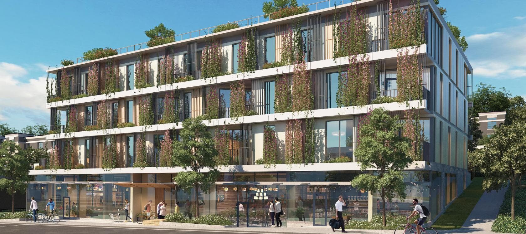 The Arbutus by Origin Properties