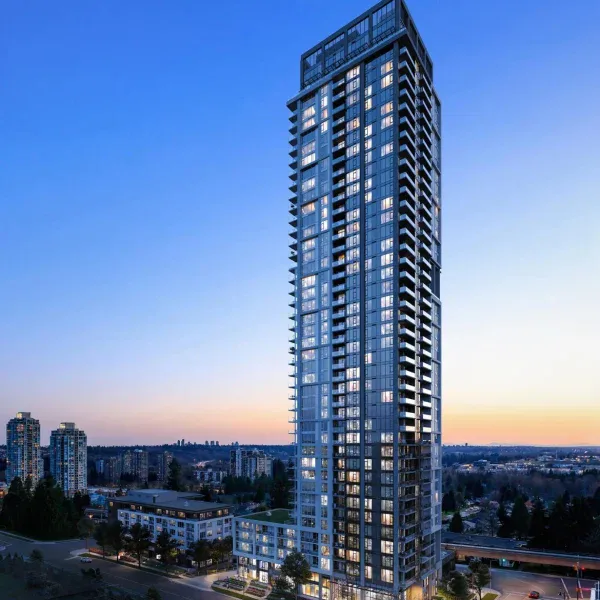 Vue by Amacon