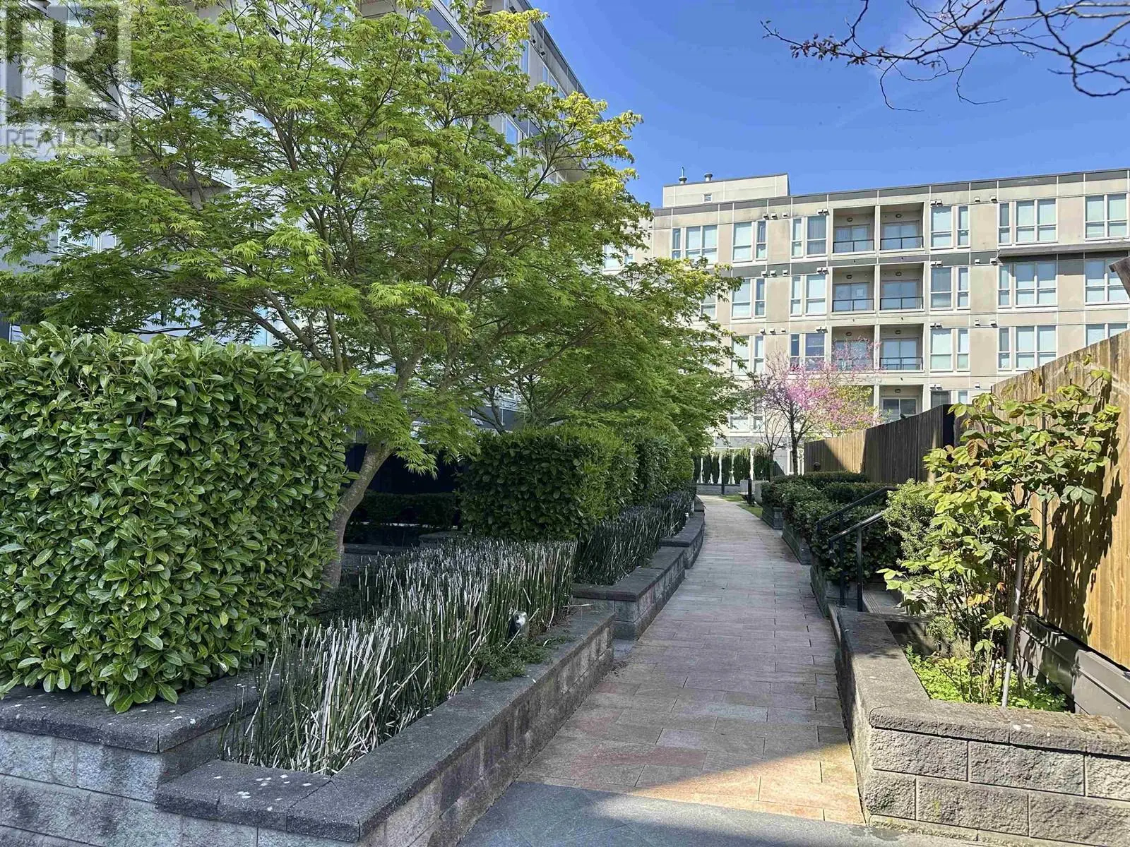 362 4099 Stolberg Street, Richmond, British Columbia  V6X 0J4 - Photo 1 - R2987036